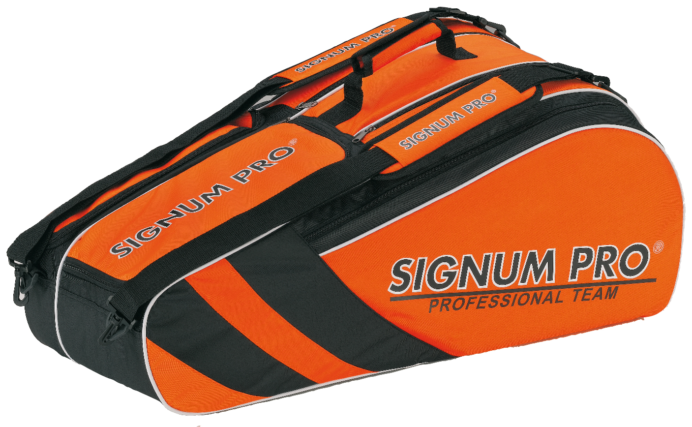 Professional Bag x12